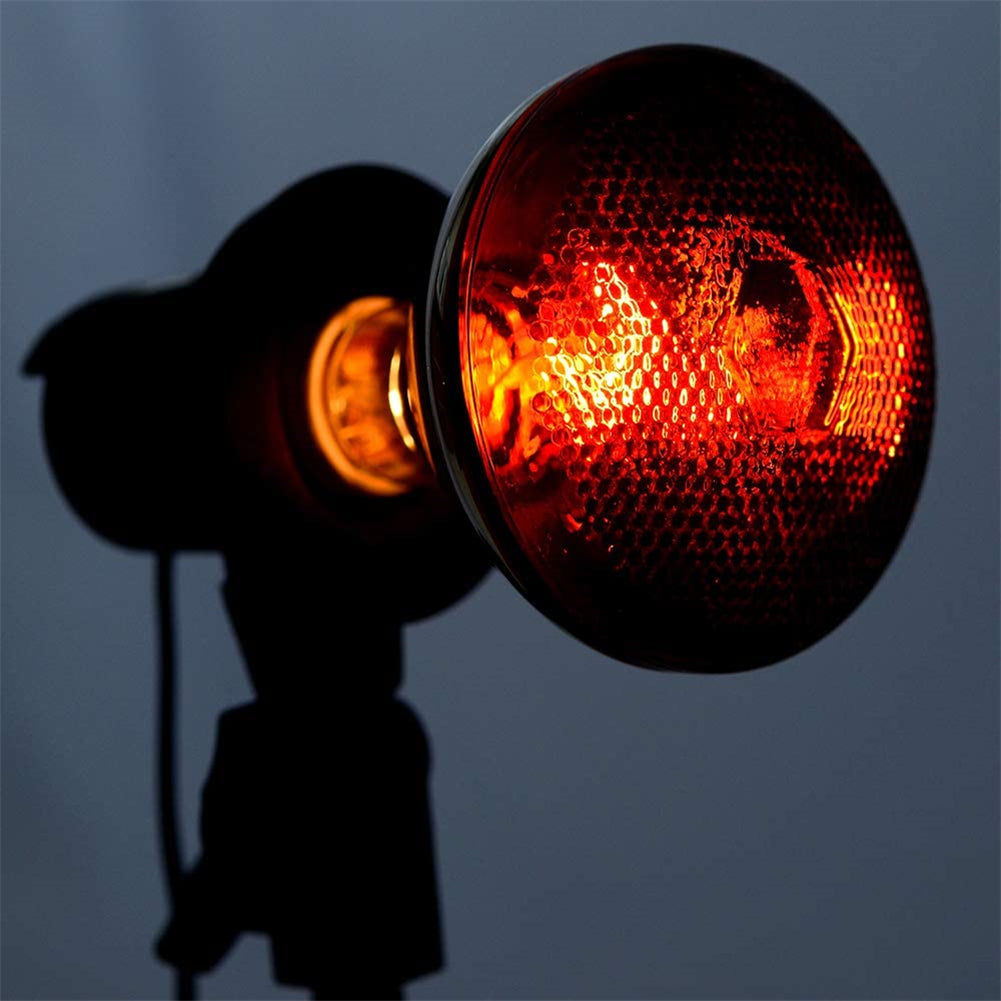 Infrared PAR38 heat bulb for reptile terrarium and animal enclosures