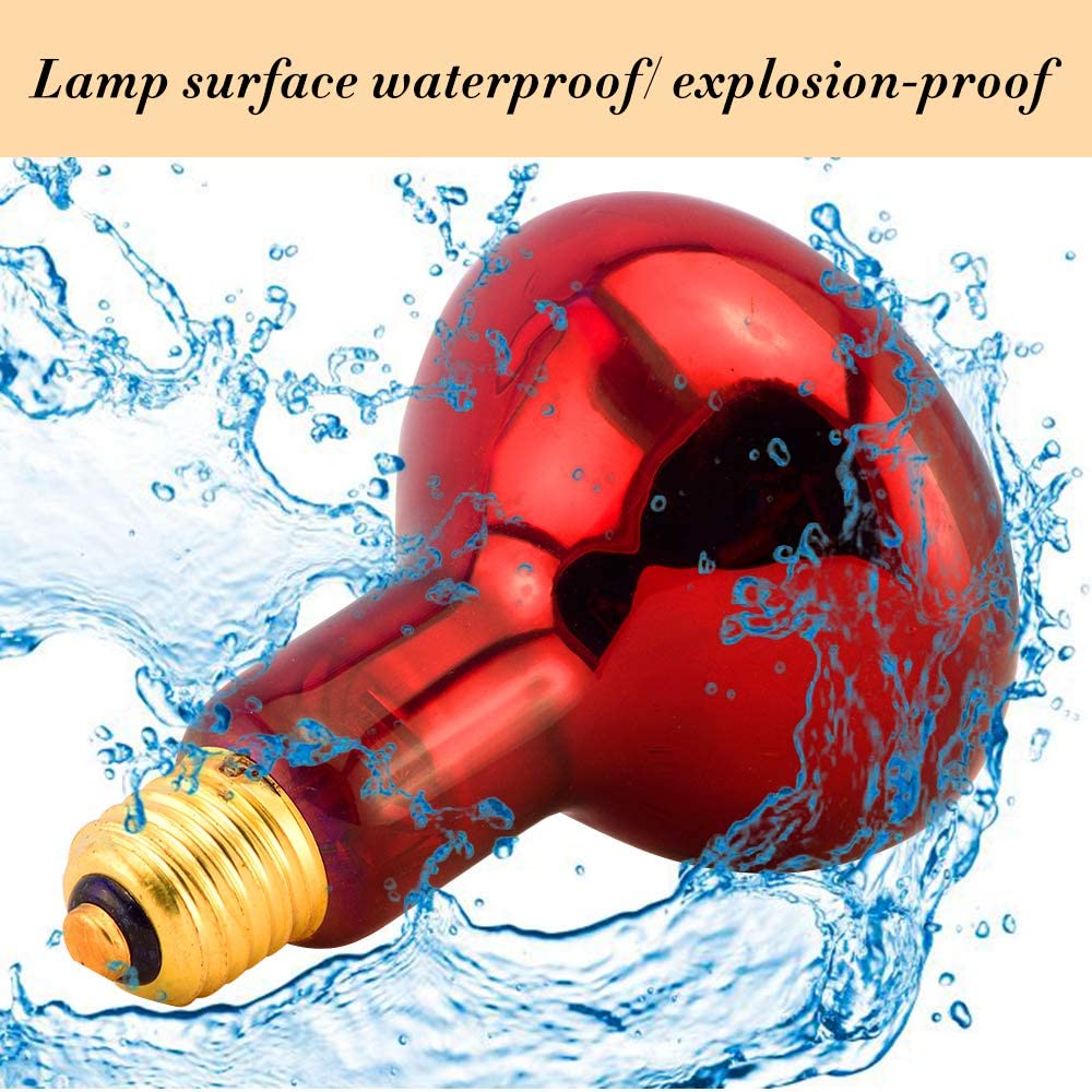 Infrared lamp for bearded dragons, providing gentle heat that aids digestion and activity levels.