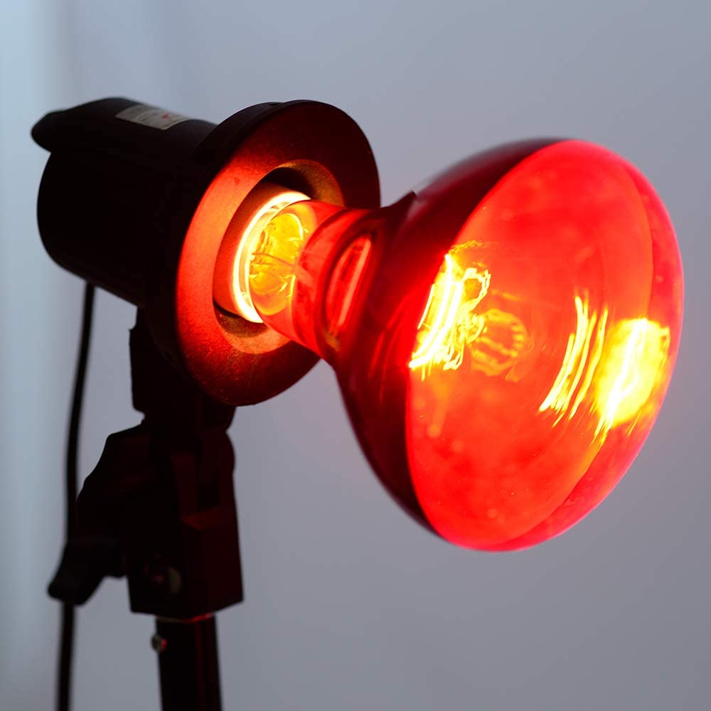 Dimmable reptile heat light with E26/E27 base, perfect for adjustable terrarium temperatures.