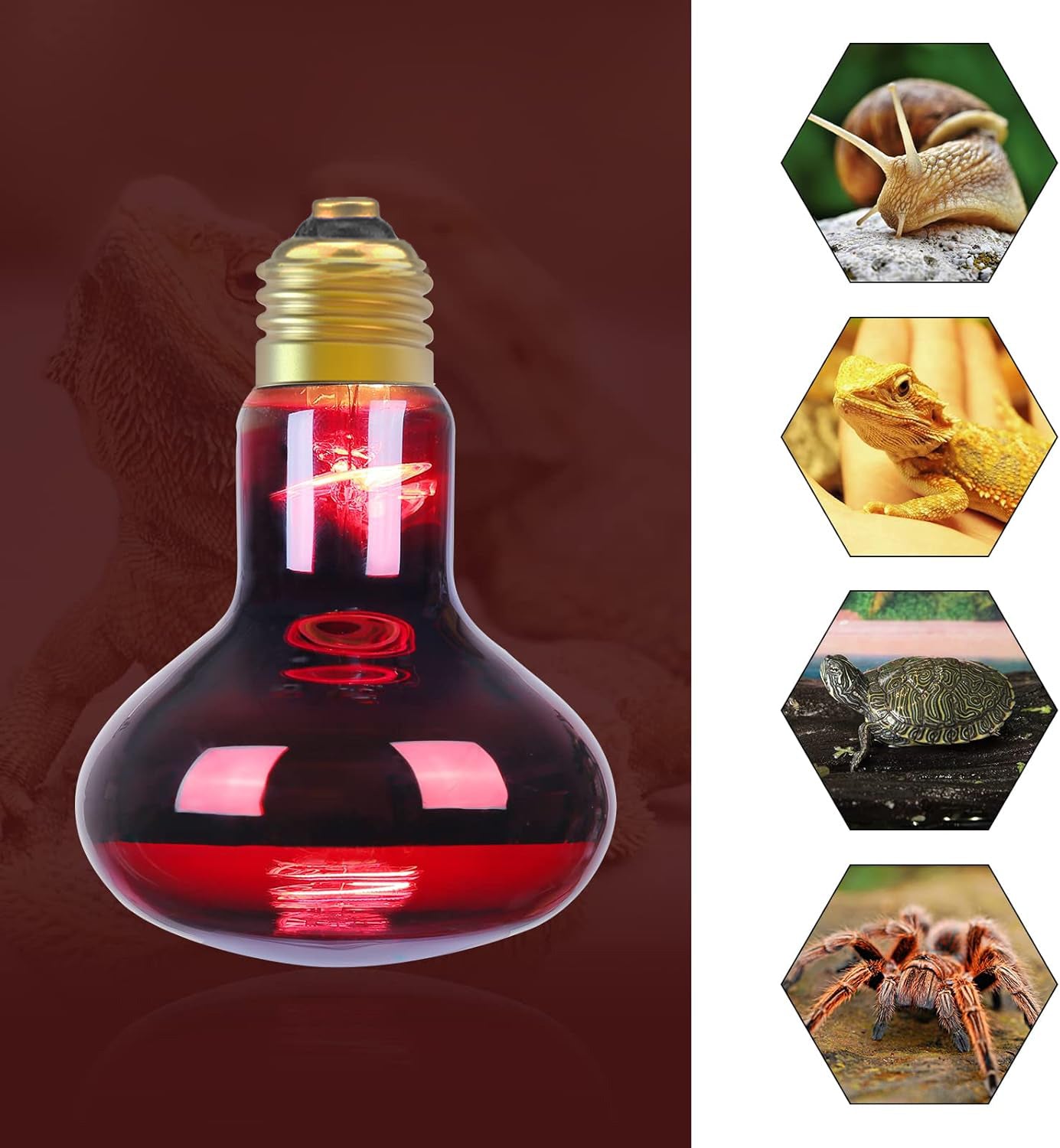 6-pack of R95 infrared heat bulbs for pets and reptiles