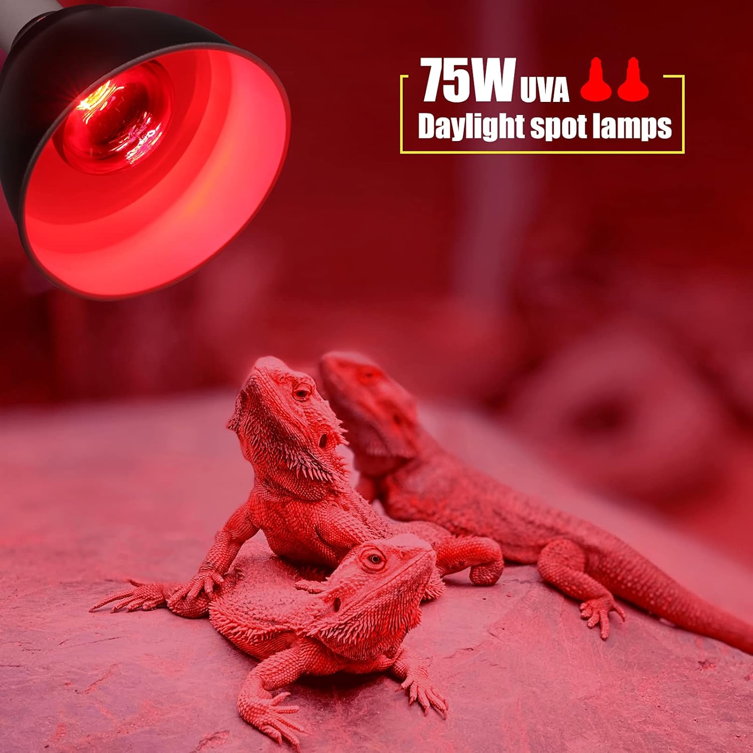 Dimmable infrared heat bulb for reptile light fixture