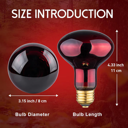 100W infrared heat bulbs for lizard tank or terrarium